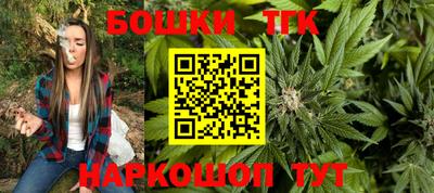 гидра Кудрово