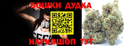 гидра Кудрово