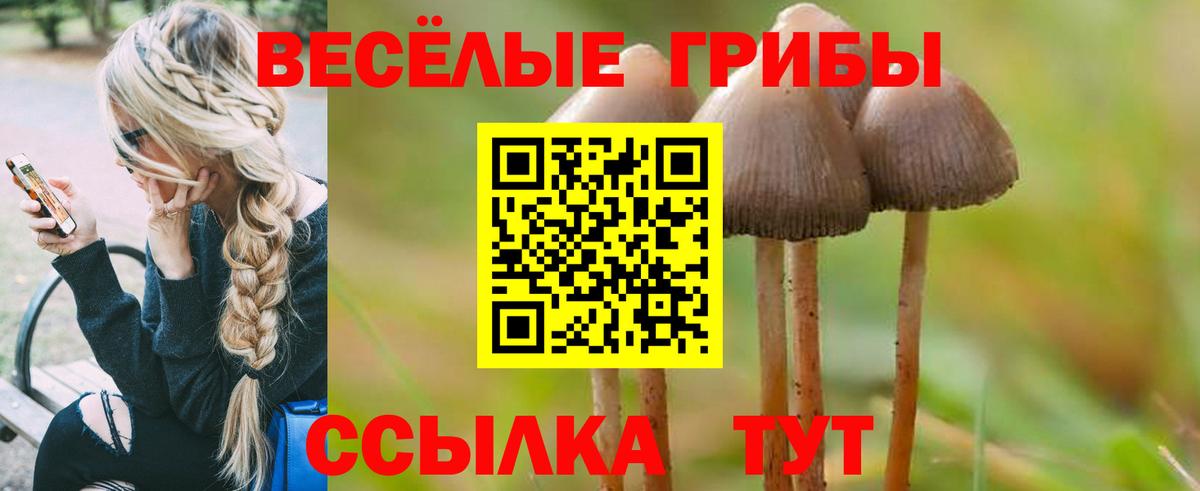 наркошоп  Псилоцибиновые грибы GOLDEN TEACHER  Вход с VPN  Великий Новгород 